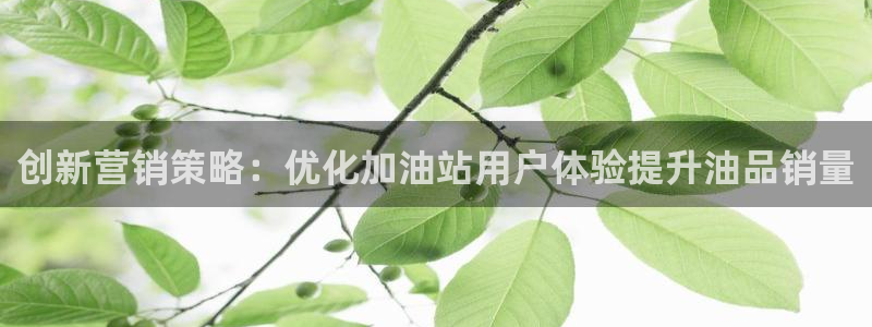 56.nt必赢官网
