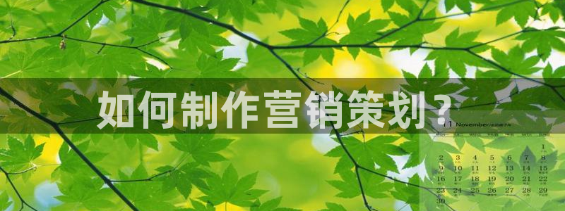 必赢官网app下载苹果版
