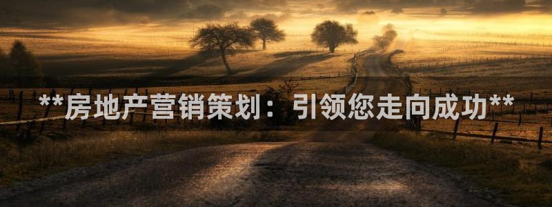 必赢国际437a