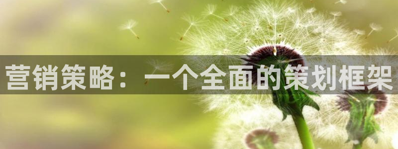 必赢国际437网页版