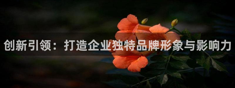 必赢手机app下载抢红包