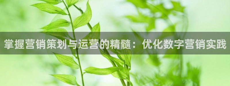 必赢平台官方客服电话