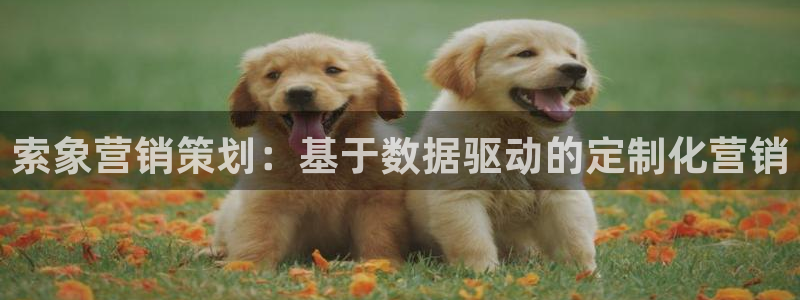 必赢7321取不出钱