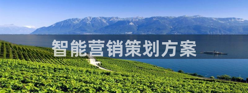 必赢亚赢网站官网下载手机版安装