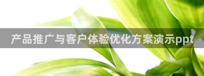必赢宝app软件下载