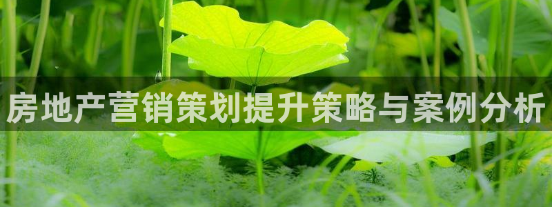 必赢网站网址是多少