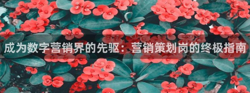 必赢官网app下载安装手机版苹果