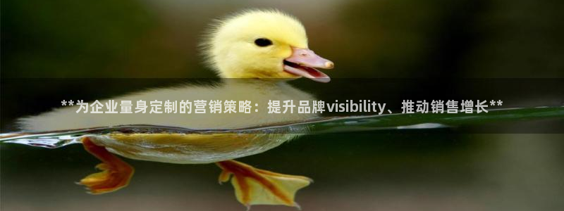 必赢国际437官方简介