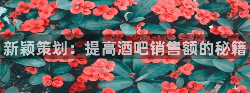 必赢app官方