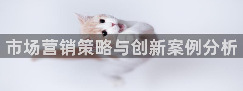 必赢官网app下载安装苹果