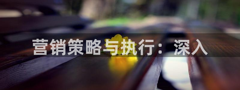 必赢科技北京有限公司