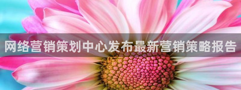 必赢网络游戏平台