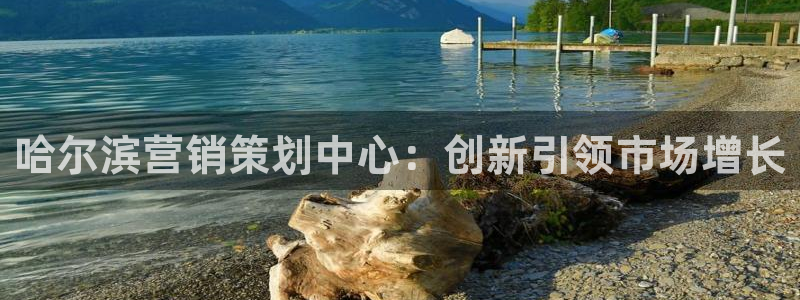 必赢8833扑鱼