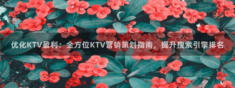 必赢网址手机主页在哪