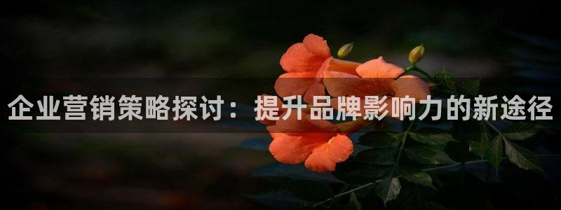 必赢官网入口下载app