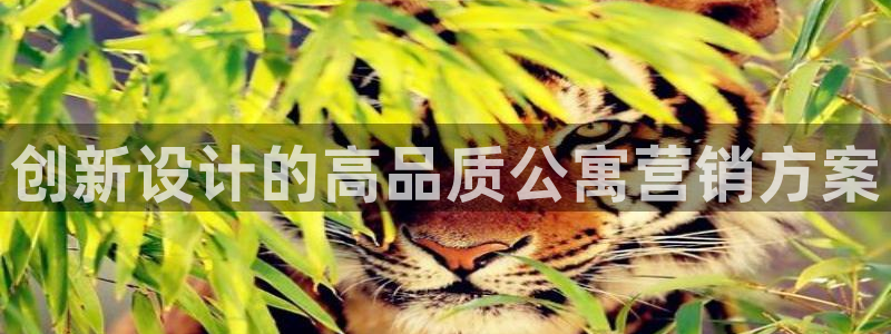 必赢网站网址是多少