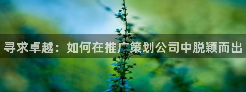必赢手机app下载最新版本安卓苹果