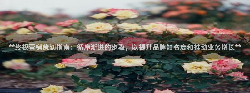 必赢网站