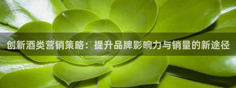 必赢官网app下载安装手机版最新版