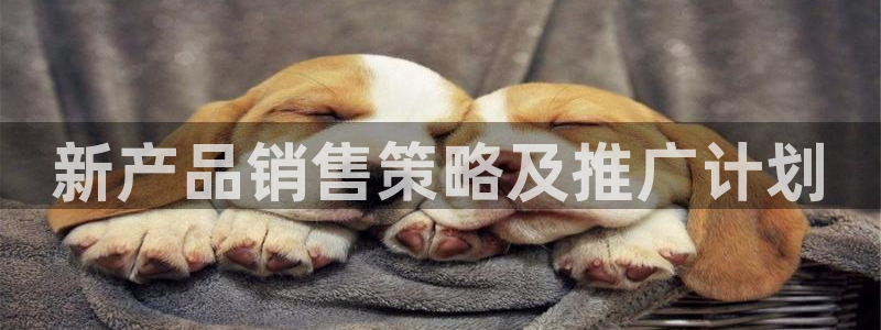 必赢8111e