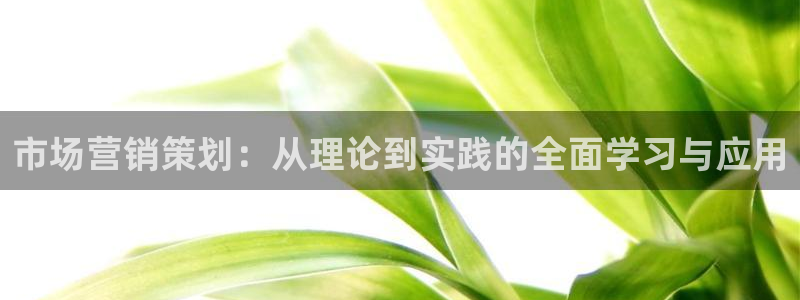 必赢国际网站合法吗