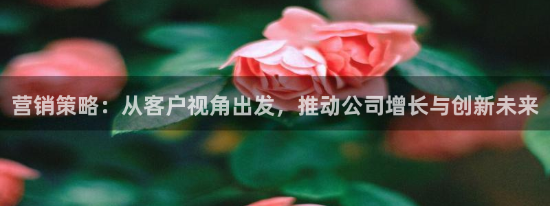 必赢棋脾9655
