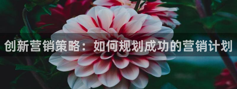 必赢3003手机网页版