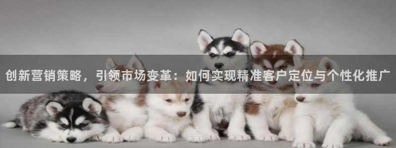95必赢网址多少
