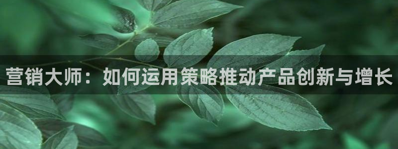 必赢官网下载安装