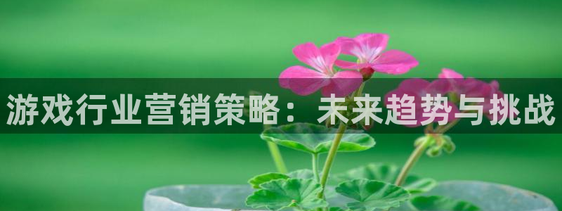 必赢棋脾