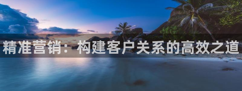 必赢国际437