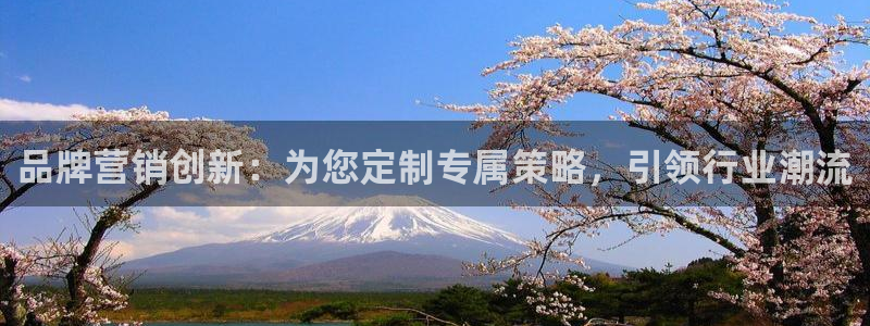 必赢棋脾