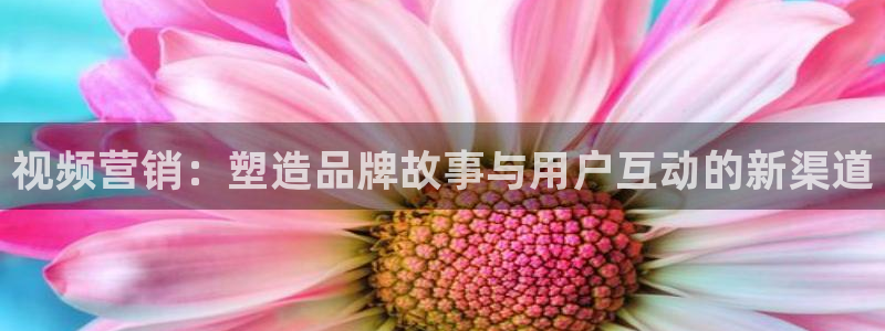 必赢九五