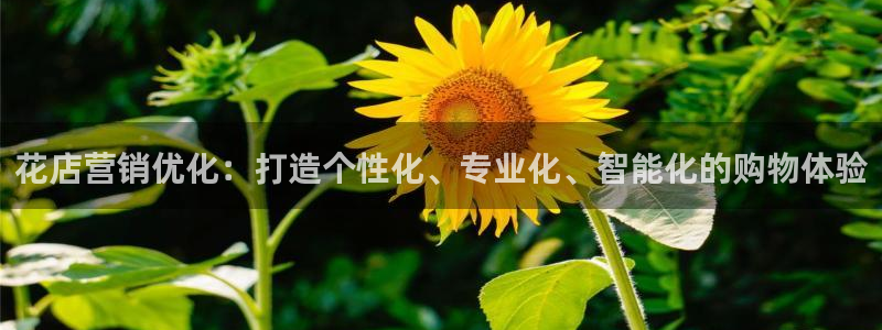 必赢手机app下载最新版本安装