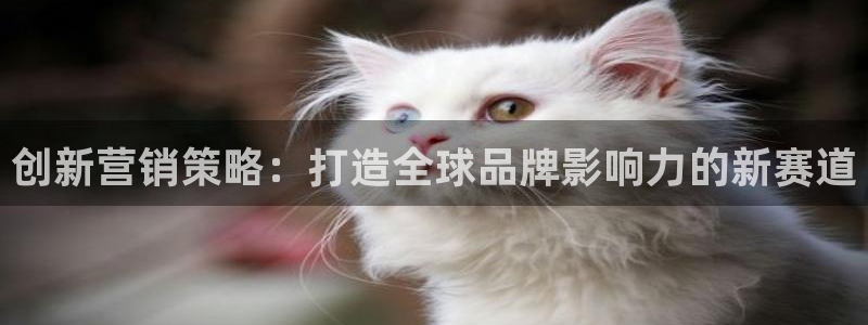 必赢棋脾9655app下载：创