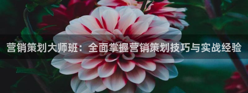 必赢8111e