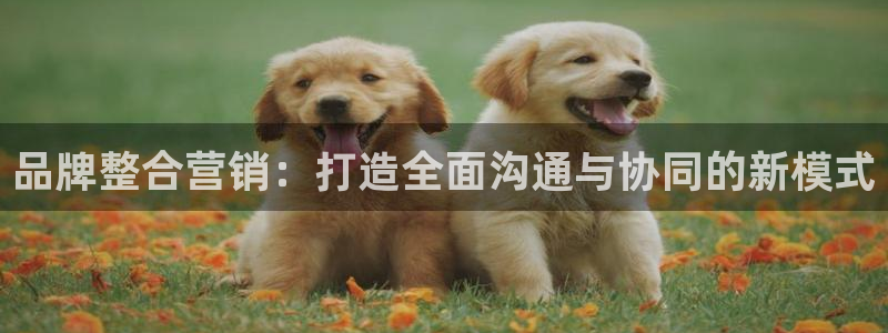 必赢科技中国有限公司