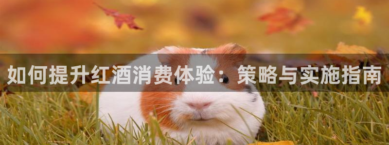 必赢手机app下载安装官网