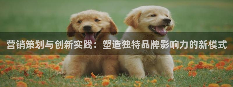 必赢平台怎么样把钱提到银行卡里