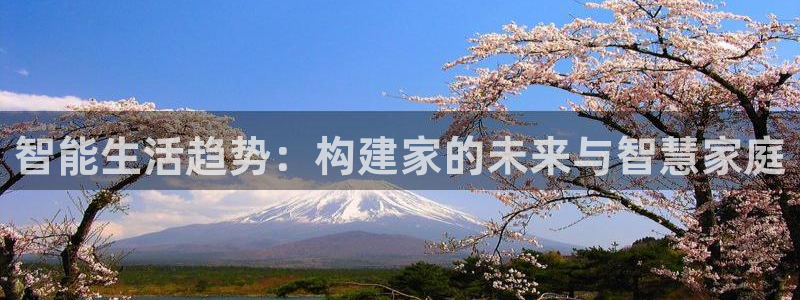 必赢国际游戏技巧：智能生活趋势