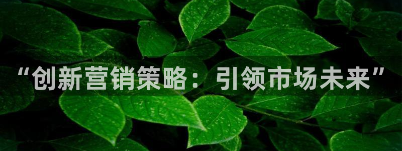 必赢下载安卓版官网：“创新营销