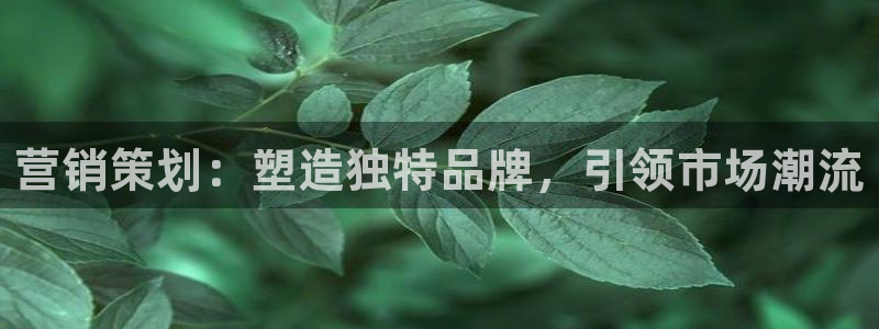 必赢公司是怎样的一家企业