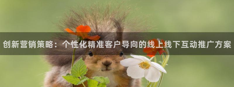 必赢565net官网