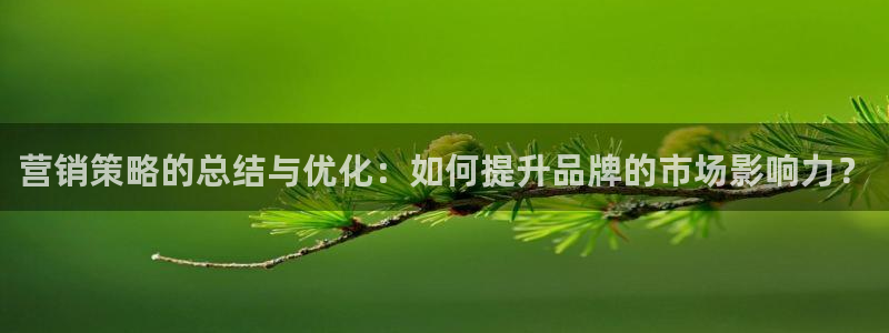 必赢app官方网站