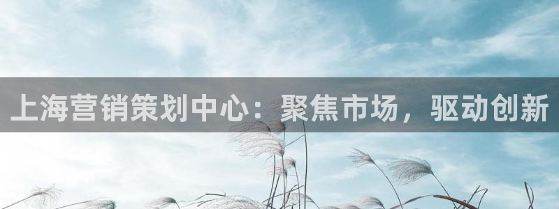 必赢766：上海营销策划中心：