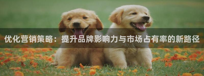必赢国际437官网版
