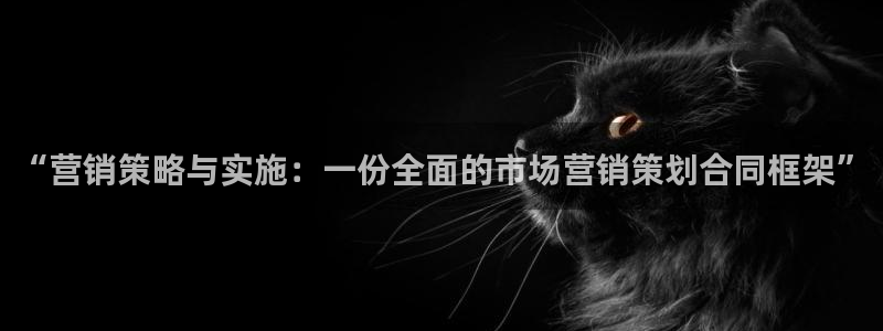 必赢网站打不开