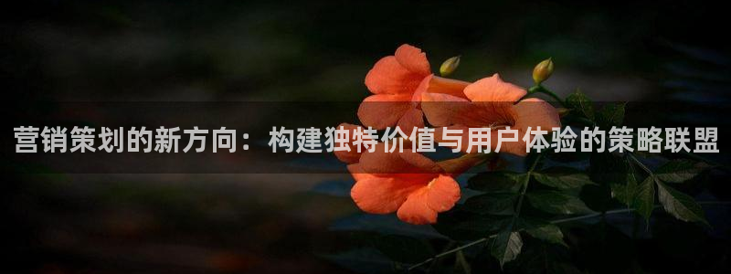 必赢网怎么打不开了呀