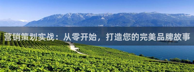 必赢官网app下载苹果