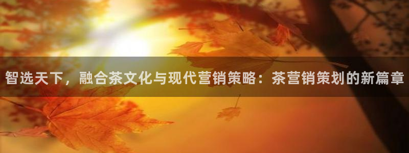 73882必赢app下载